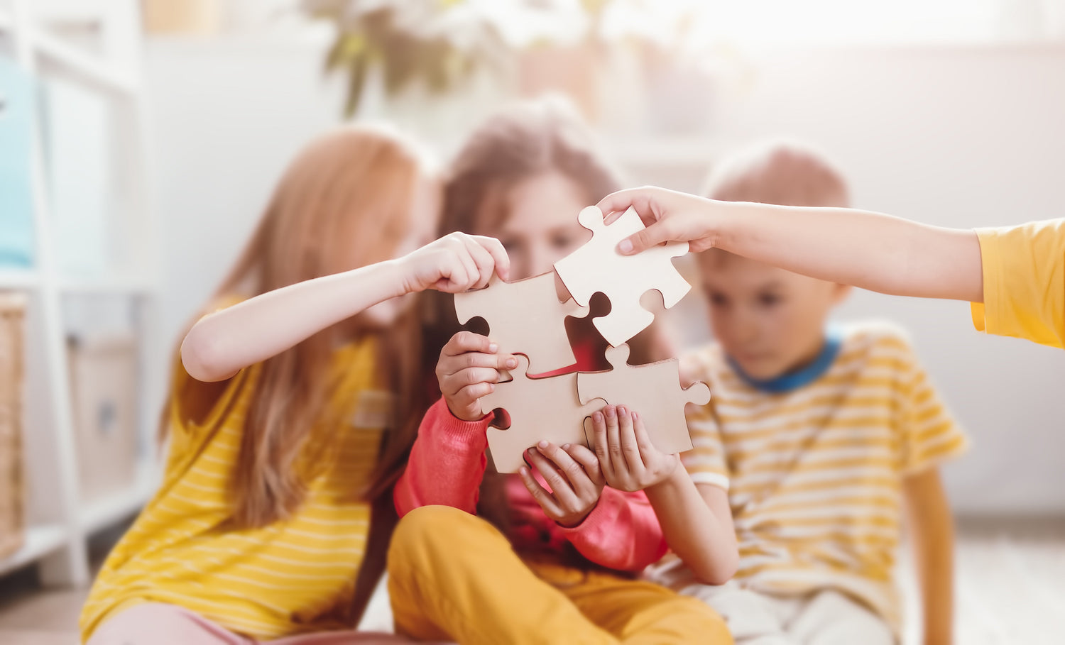 Puzzles & Maquettes